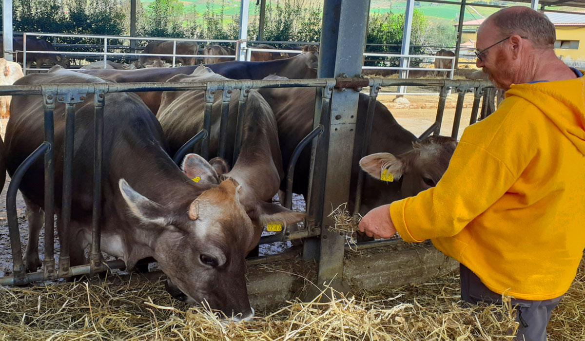 castelbuono_cheese_farm_experience